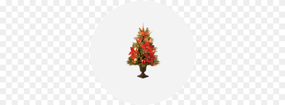 Christmas Shop Shipping Decorating A 3 Ft Christmas Tree, Christmas Decorations, Festival, Christmas Tree, Plant Free Png Download