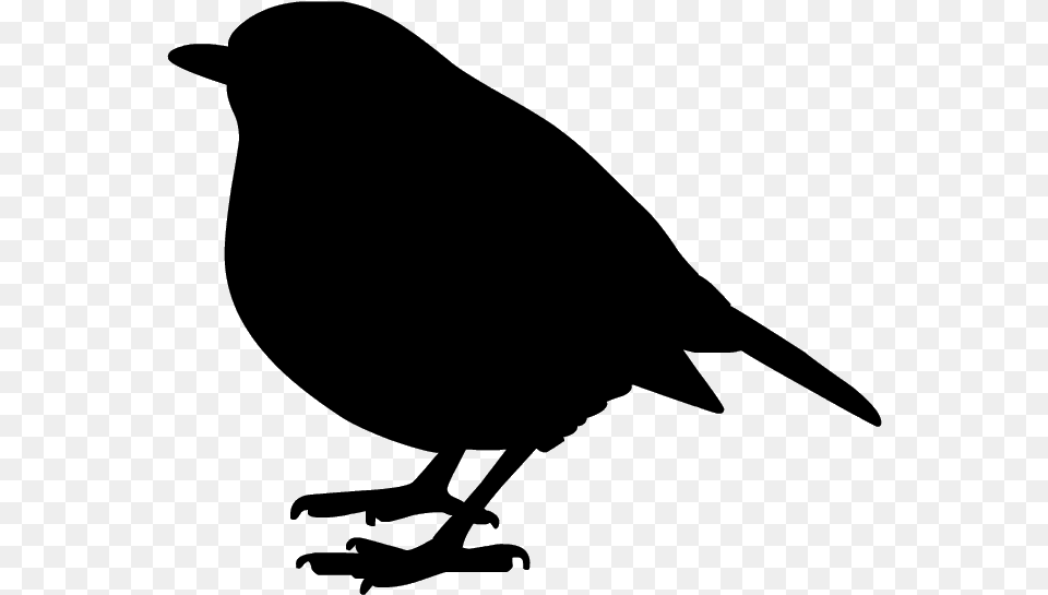 Christmas Silhouette Robin Download Robin Silhouette, Animal, Bird, Blackbird, Bow Free Png