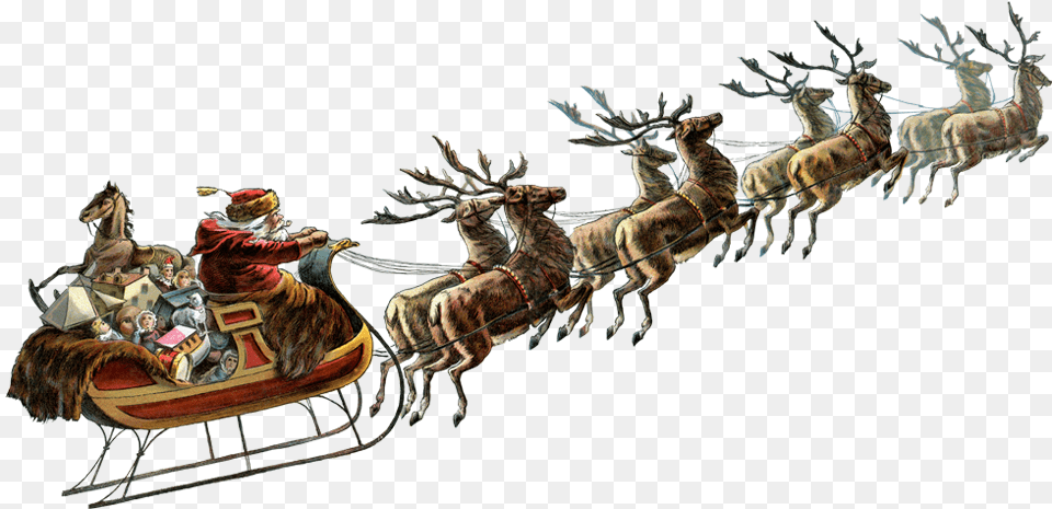 Christmas Sleigh Hd Pictures Vhvrs Santa Claus Sleigh, Animal, Wildlife, Deer, Mammal Png Image
