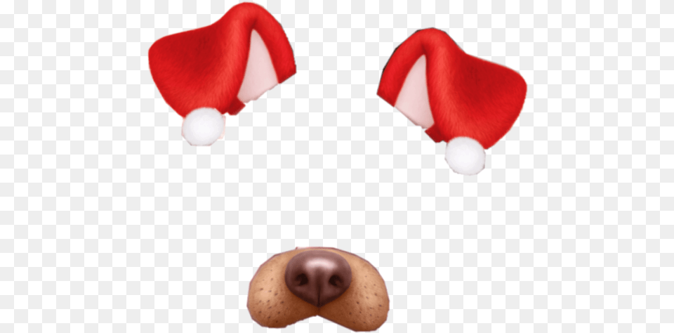 Christmas Snapchat Snapfilter Sticker Nariz De Perro De Snapchat, Flower, Petal, Plant Free Png