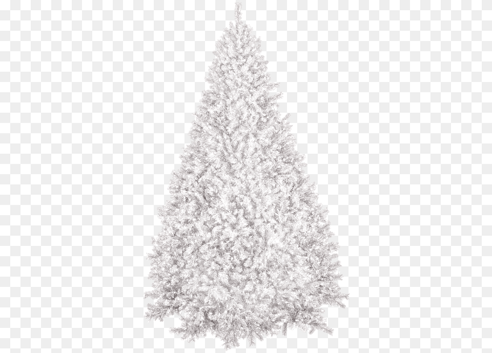 Christmas Snow Silver Frosted Christmas Tree, Plant, Fir, Christmas Decorations, Festival Png Image