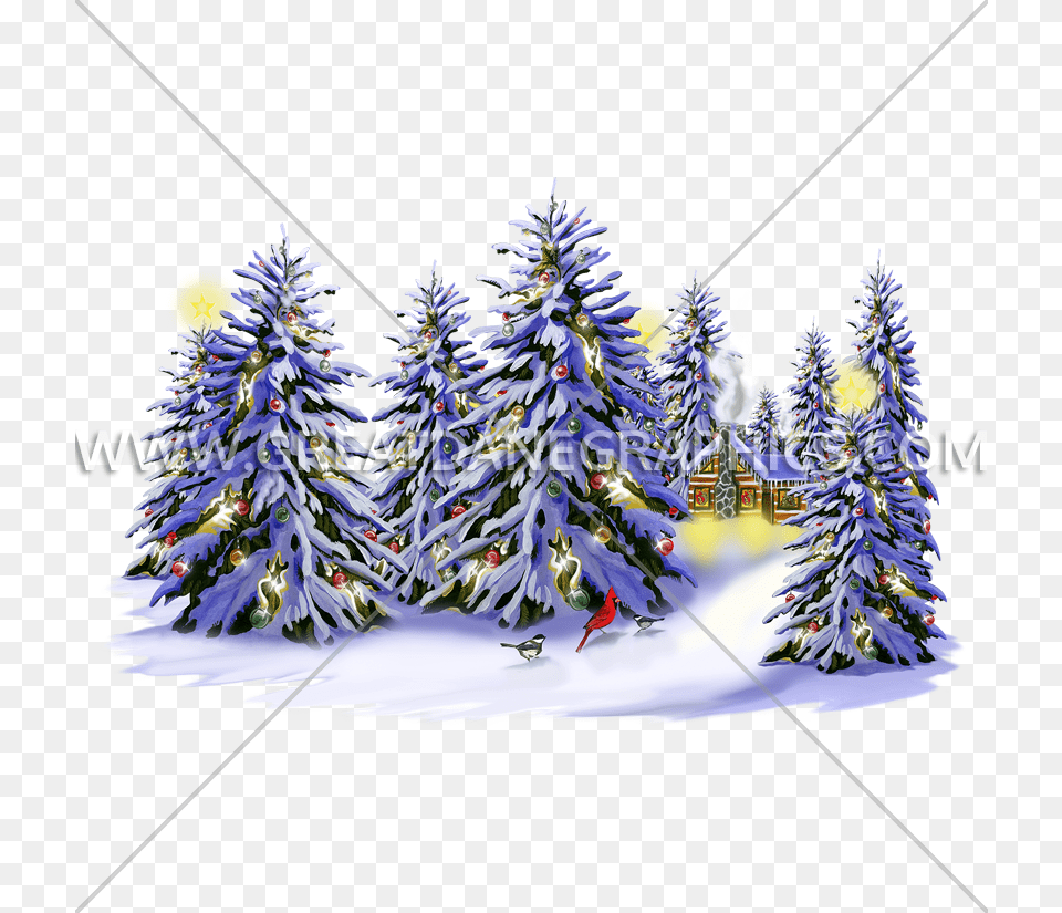 Christmas Snow Trees Production Ready Artwork For T Shirt, Plant, Tree, Christmas Decorations, Festival Png Image