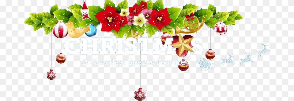Christmas Special Feature New Year Celebration, Leaf, Plant, Flower, Food Free Png Download