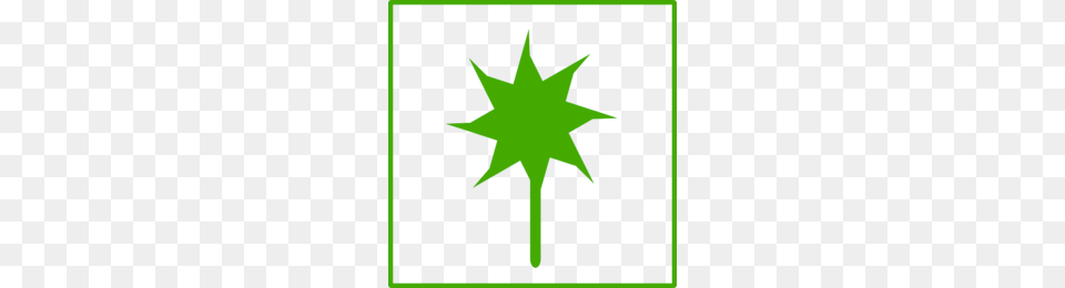 Christmas Star Clipart, Star Symbol, Symbol, Leaf, Plant Free Transparent Png