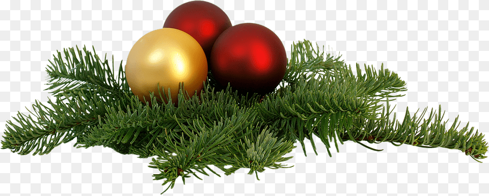 Christmas Table Decoration, Tree, Plant, Conifer, Fir Png