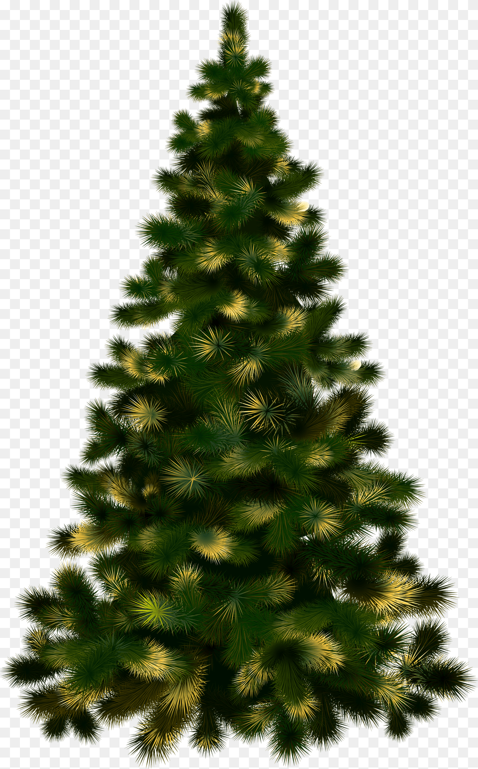 Christmas Tree Free Transparent Png