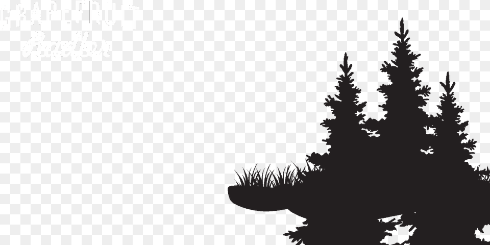 Christmas Tree, Fir, Plant, Pine, Silhouette Free Transparent Png