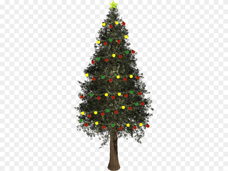 Christmas Tree, Plant, Christmas Decorations, Festival, Christmas Tree Free Png Download