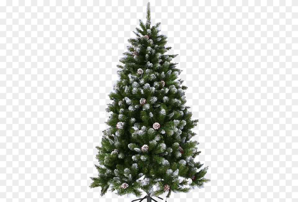 Christmas Tree, Pine, Plant, Fir, Christmas Decorations Free Png Download