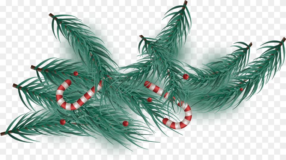Christmas Tree, Plant, Christmas Decorations, Festival Png Image