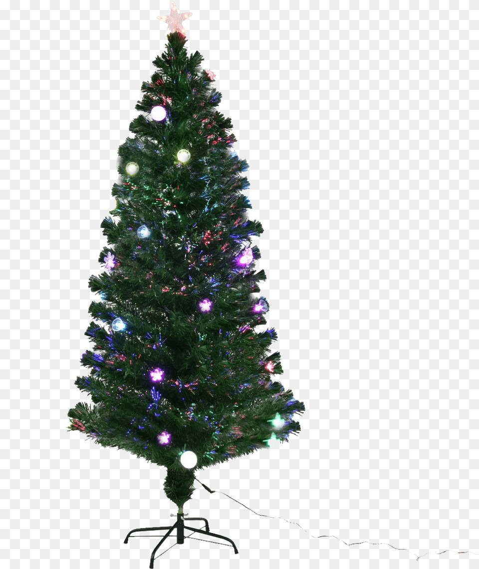 Christmas Tree, Plant, Christmas Decorations, Festival, Christmas Tree Png