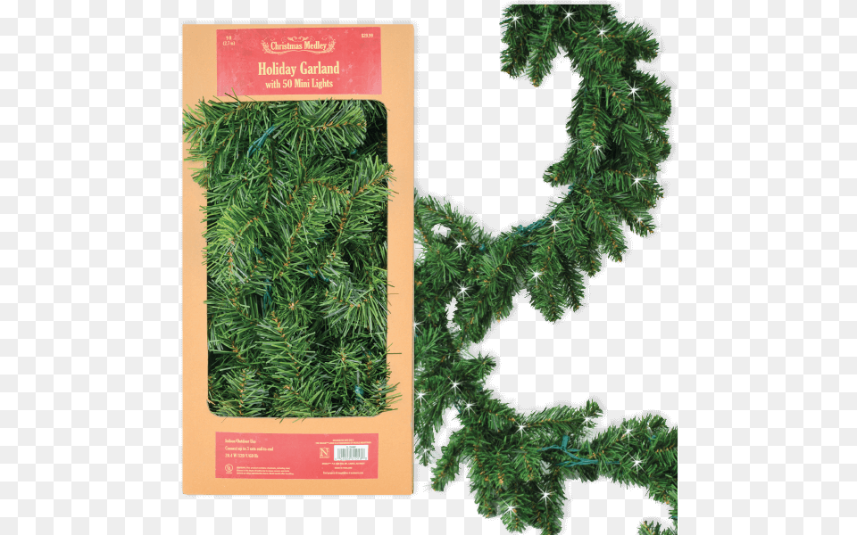 Christmas Tree, Conifer, Plant, Pine, Fir Free Png Download