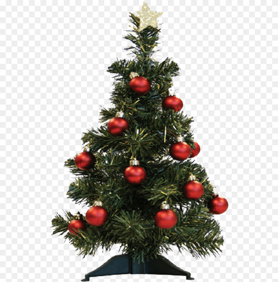 Christmas Tree, Plant, Christmas Decorations, Festival, Christmas Tree Free Png