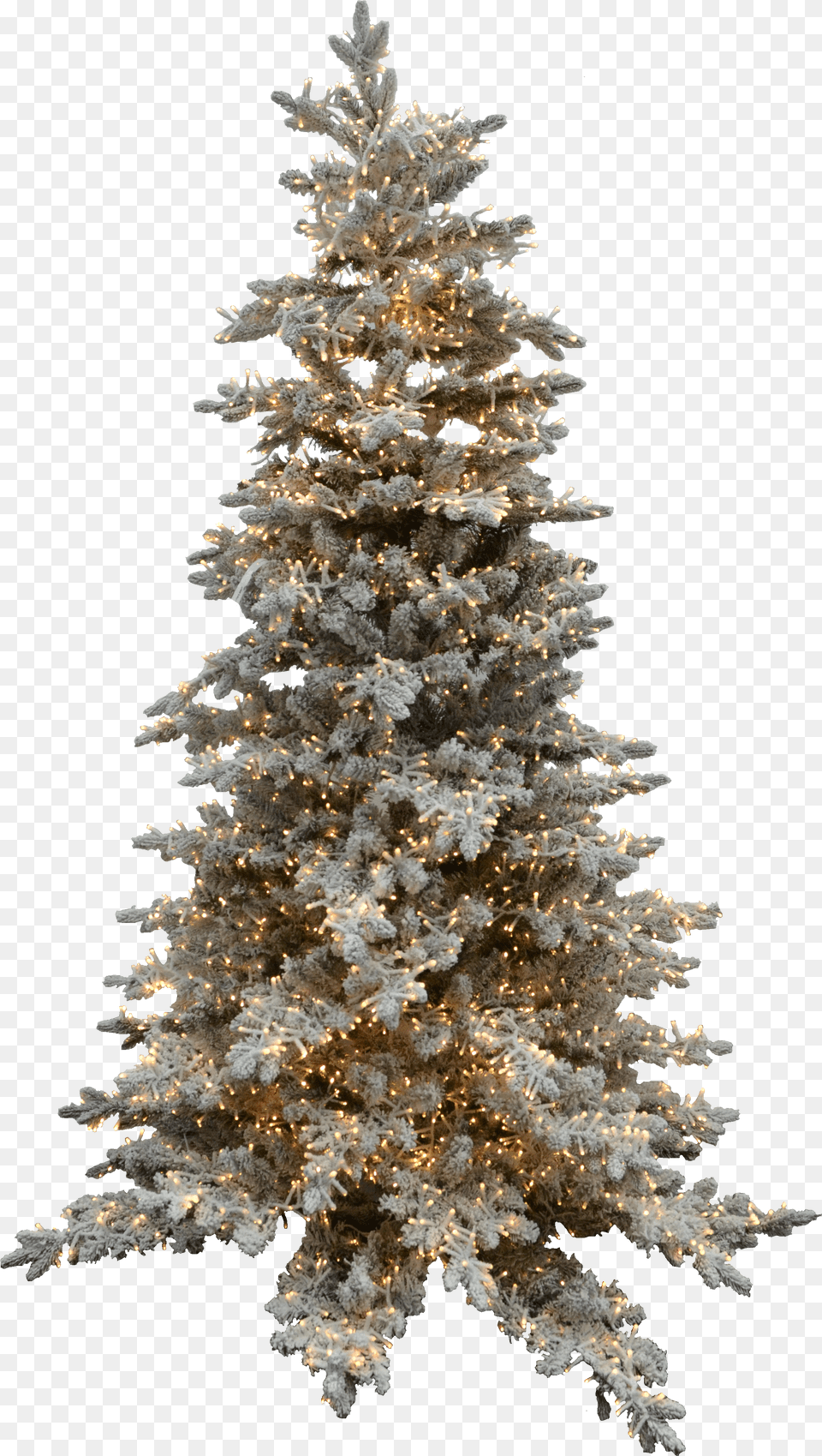 Christmas Tree Free Png Download