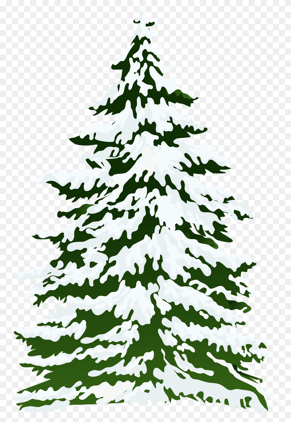 Christmas Tree, Fir, Pine, Plant, Bonfire Free Png