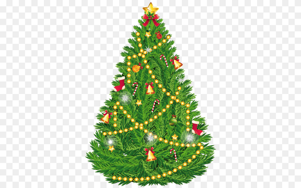 Christmas Tree, Plant, Christmas Decorations, Festival, Christmas Tree Png