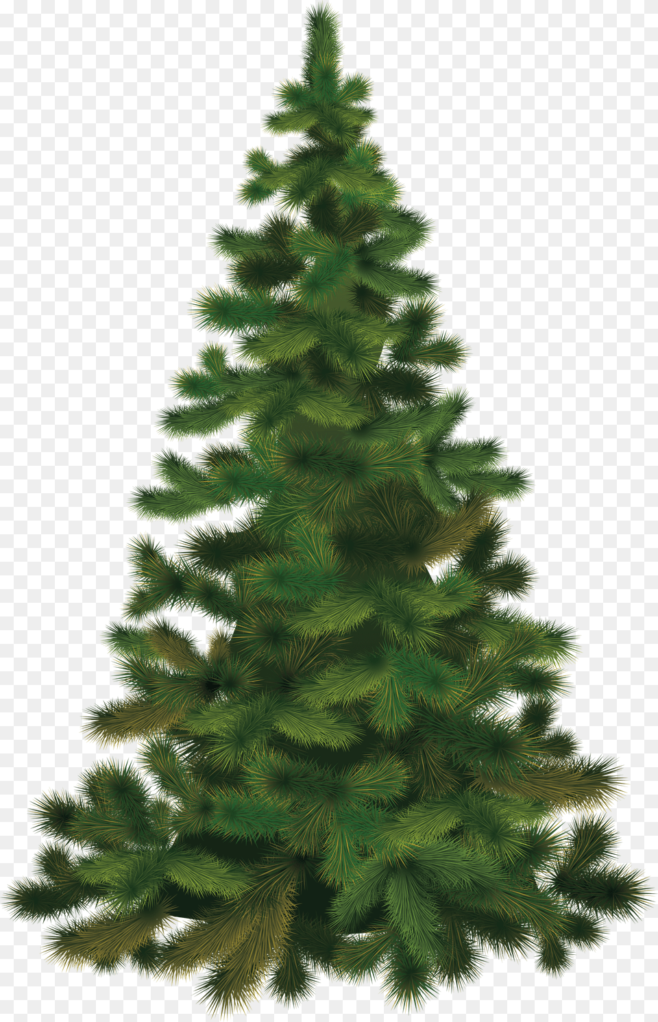 Christmas Tree Free Png Download