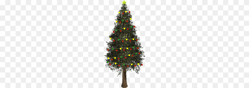 Christmas Tree Plant, Christmas Decorations, Festival, Chandelier Png Image