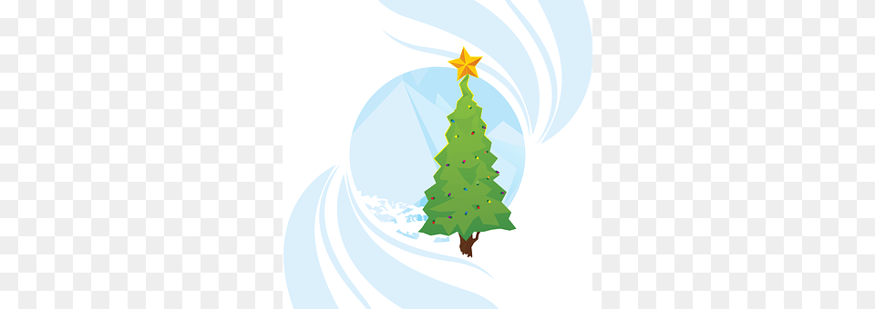 Christmas Tree Plant, Christmas Decorations, Festival, Christmas Tree Free Png