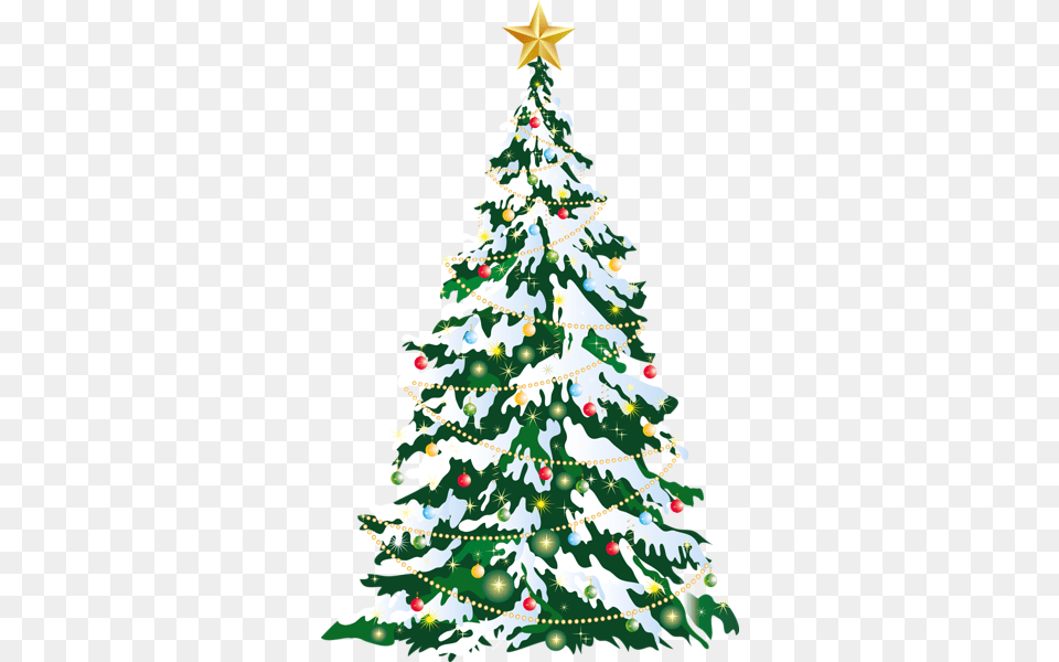 Christmas Tree, Plant, Festival, Christmas Decorations, Christmas Tree Png