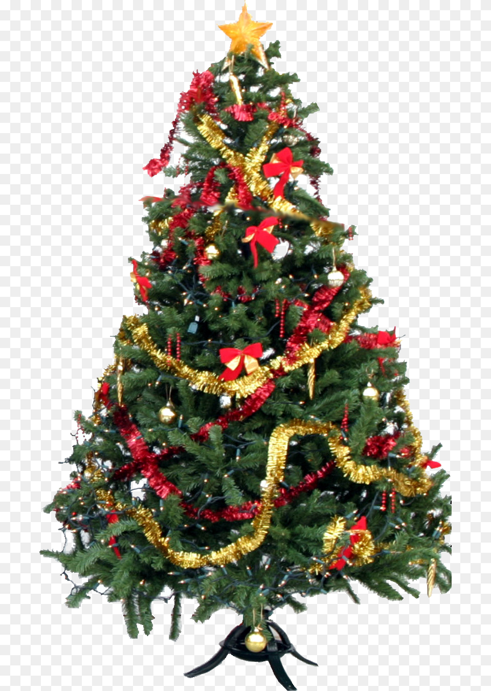 Christmas Tree, Plant, Christmas Decorations, Festival, Christmas Tree Png