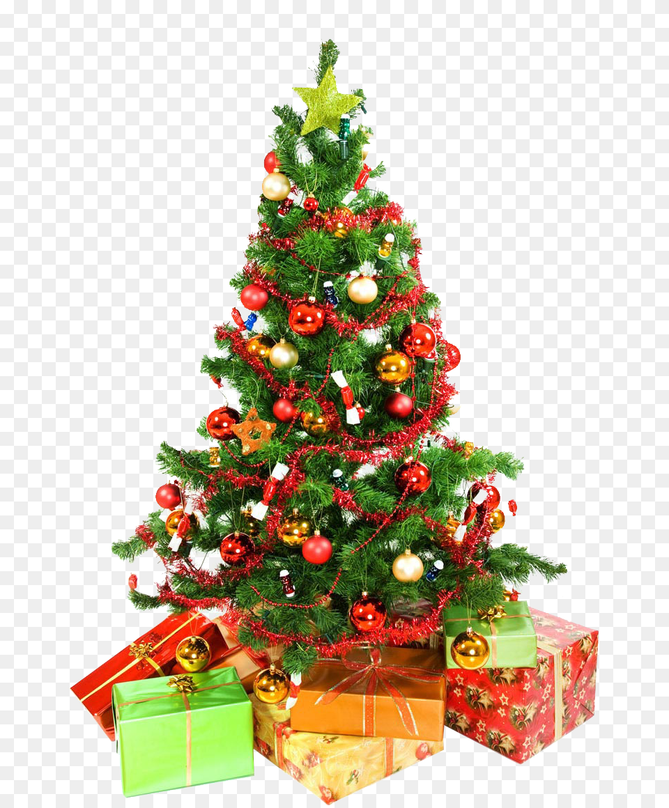 Christmas Tree, Plant, Christmas Decorations, Festival, Christmas Tree Free Png Download