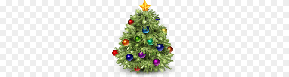 Christmas Tree, Plant, Food, Dessert, Cream Free Png