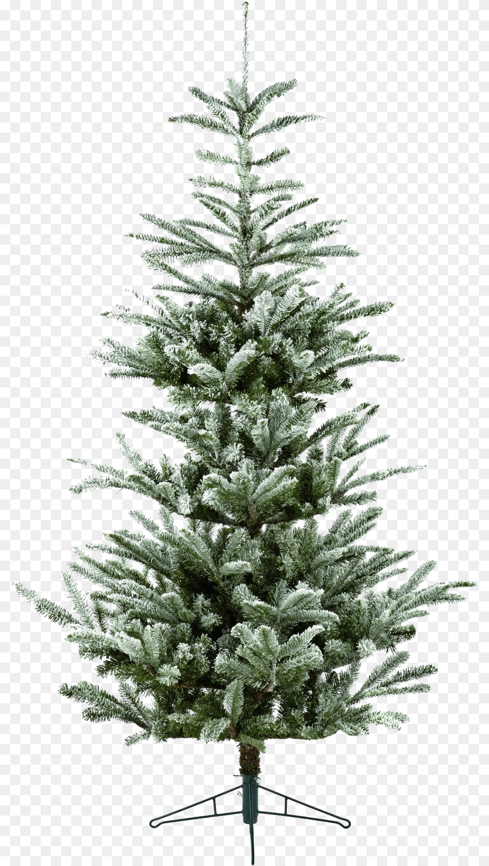 Christmas Tree, Fir, Pine, Plant, Christmas Decorations Free Png Download