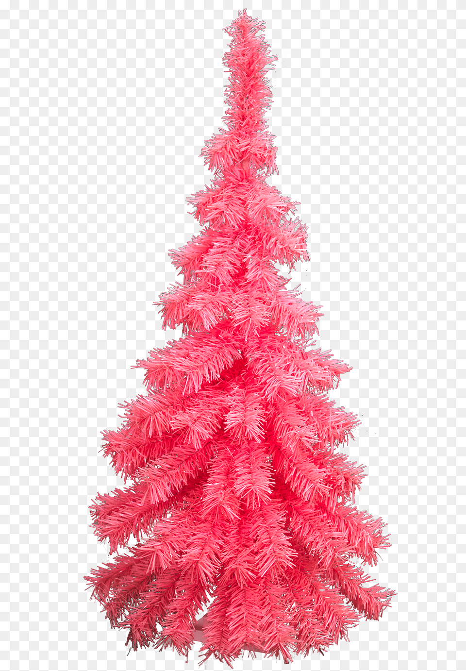 Christmas Tree, Plant, Christmas Decorations, Festival, Christmas Tree Png