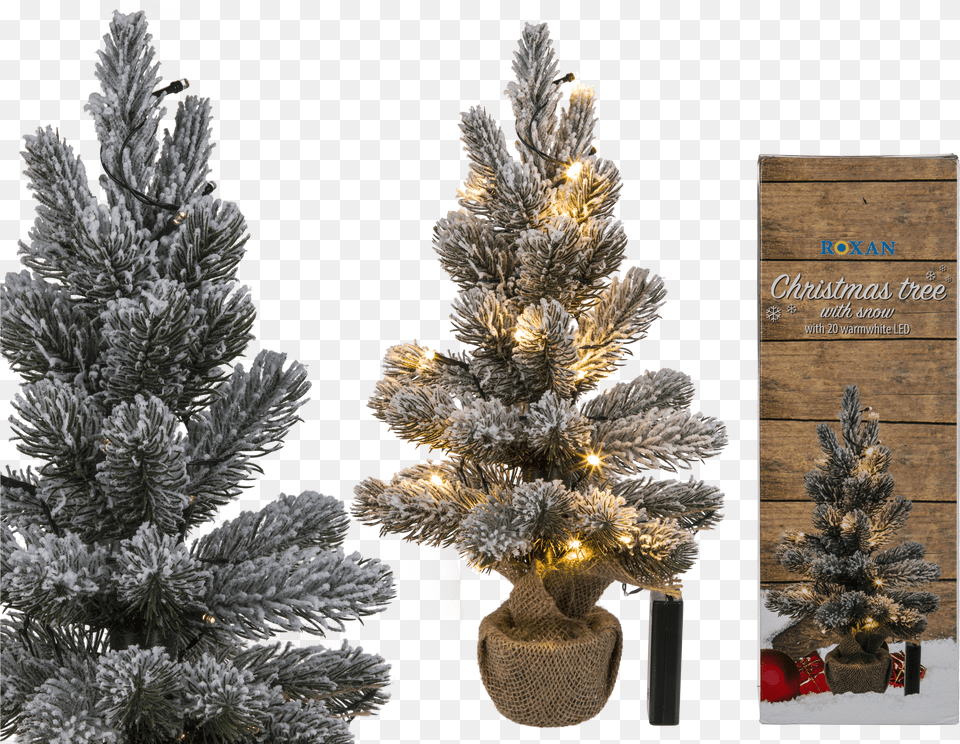 Christmas Tree Free Png Download