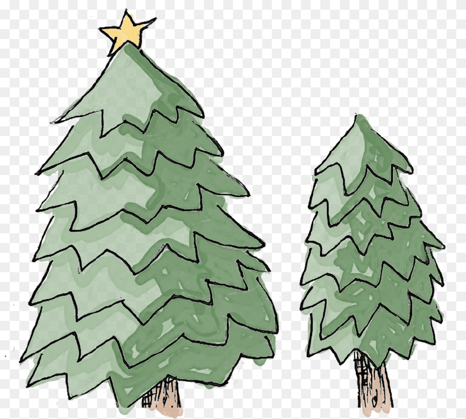 Christmas Tree, Plant, Green, Christmas Decorations, Festival Free Transparent Png