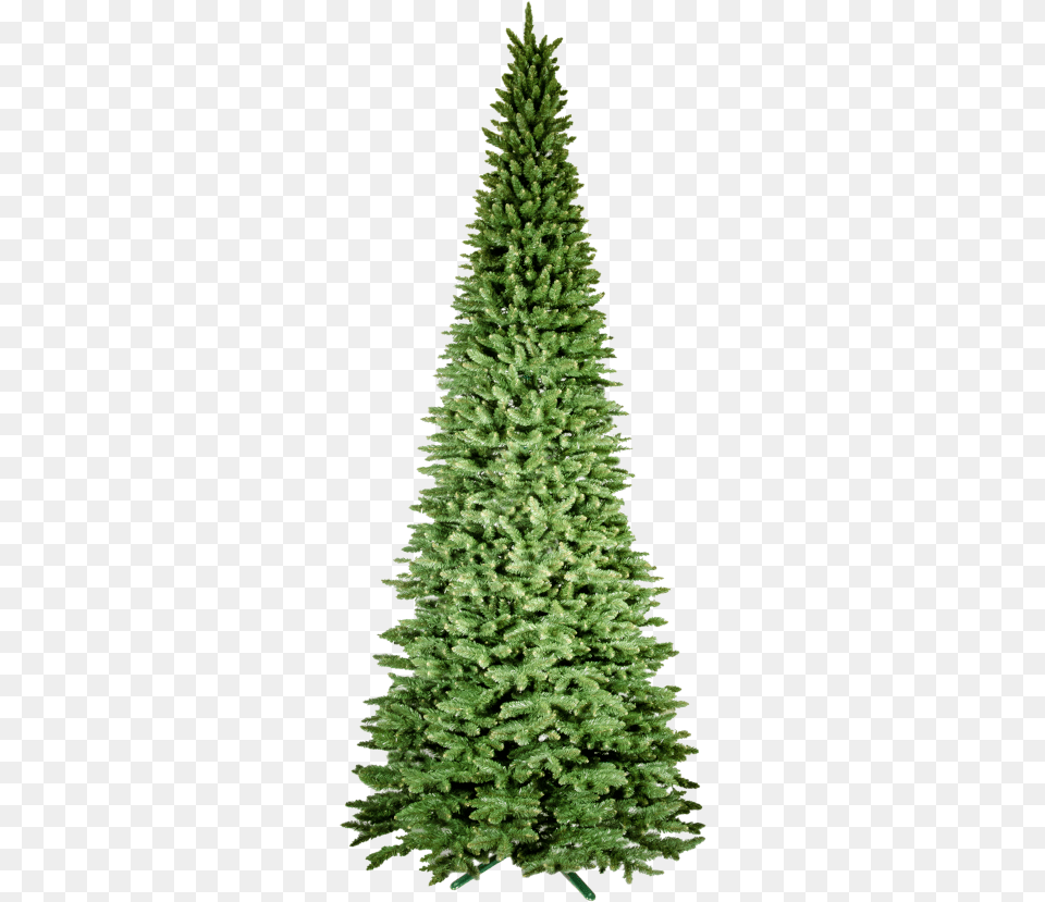 Christmas Tree, Pine, Plant, Fir, Christmas Decorations Free Png