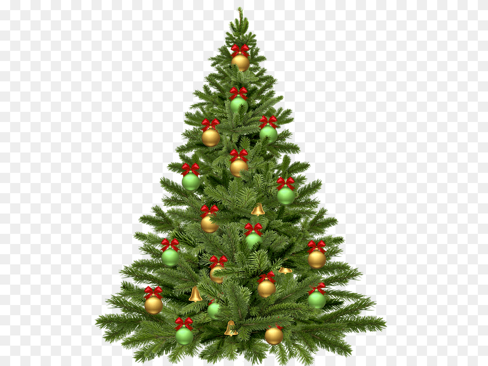 Christmas Tree, Plant, Christmas Decorations, Festival, Christmas Tree Png