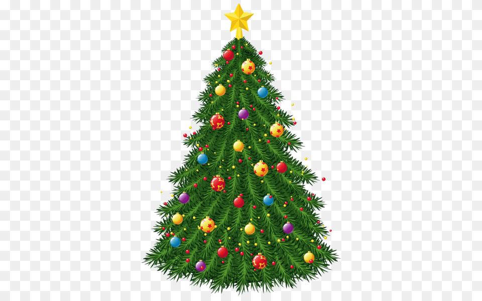 Christmas Tree, Plant, Christmas Decorations, Festival, Christmas Tree Png Image