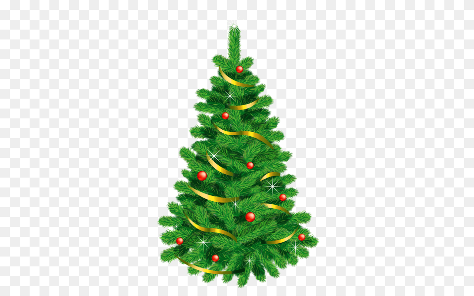 Christmas Tree, Plant, Christmas Decorations, Festival, Pine Free Transparent Png