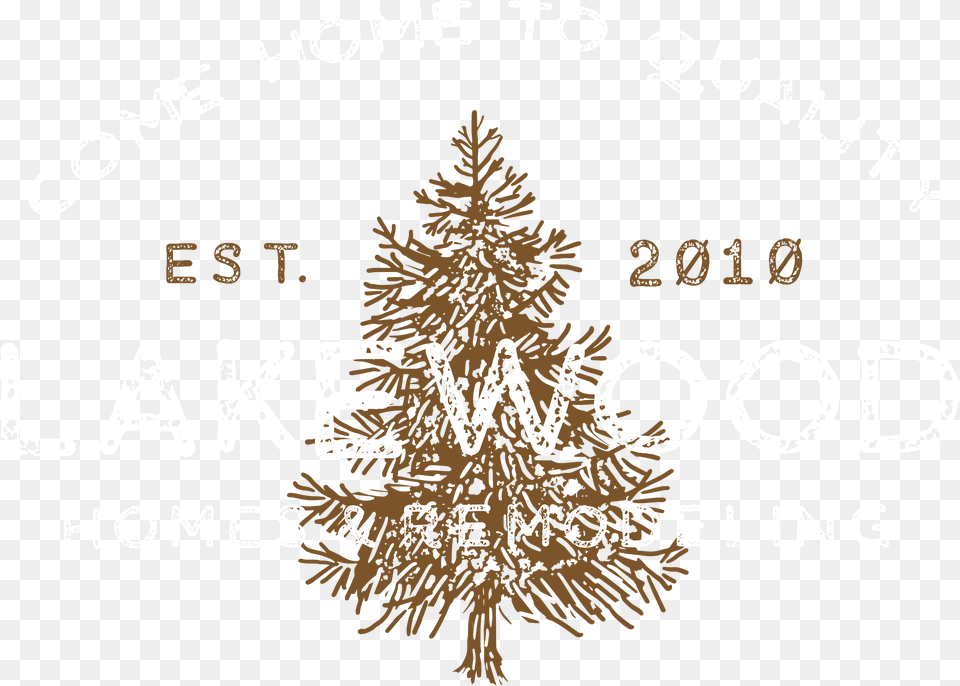 Christmas Tree, Plant, Blackboard, Festival, Christmas Decorations Free Png