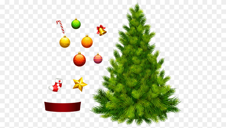 Christmas Tree, Plant, Pine, Christmas Decorations, Festival Free Png Download