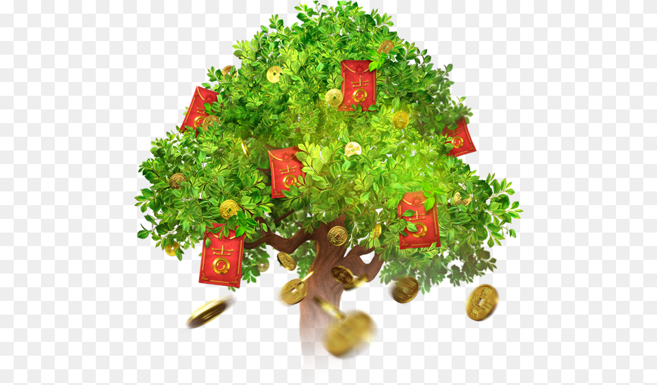 Christmas Tree, Plant, Potted Plant, Green, Herbs Free Png