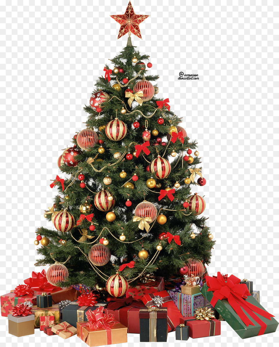 Christmas Tree, Plant, Christmas Decorations, Festival, Christmas Tree Png Image