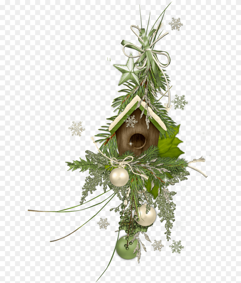 Christmas Tree, Plant, Christmas Decorations, Festival Png