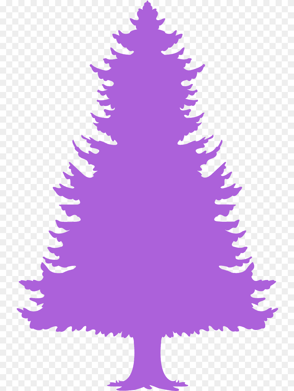 Christmas Tree, Plant, Fir, Adult, Wedding Free Png Download
