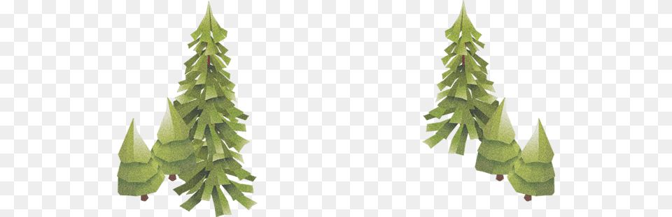 Christmas Tree, Plant, Green, Christmas Decorations, Festival Free Transparent Png