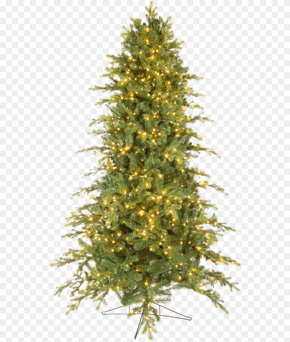 Christmas Tree, Plant, Christmas Decorations, Festival, Christmas Tree Free Transparent Png