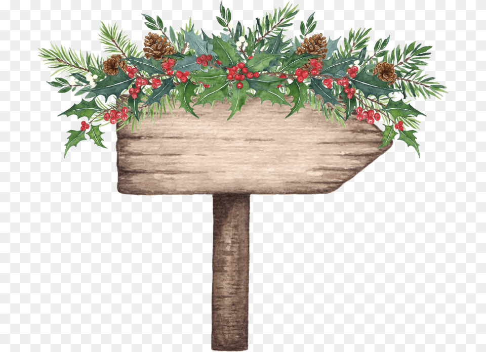 Christmas Tree, Plant, Potted Plant, Flower, Flower Arrangement Free Png