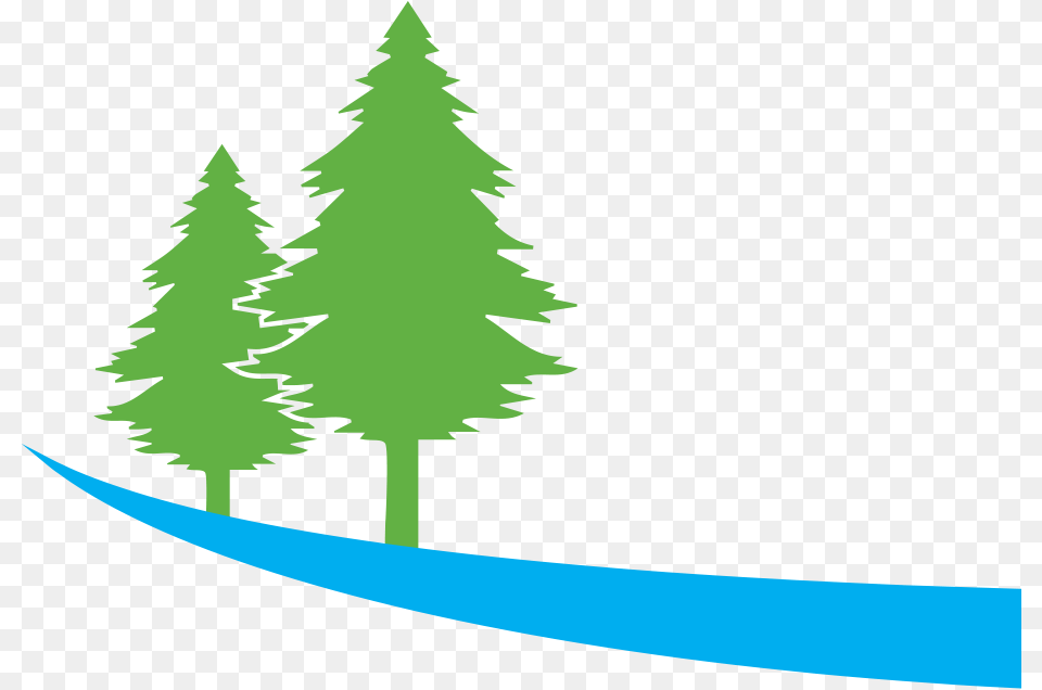 Christmas Tree, Fir, Plant, Pine, Conifer Free Transparent Png