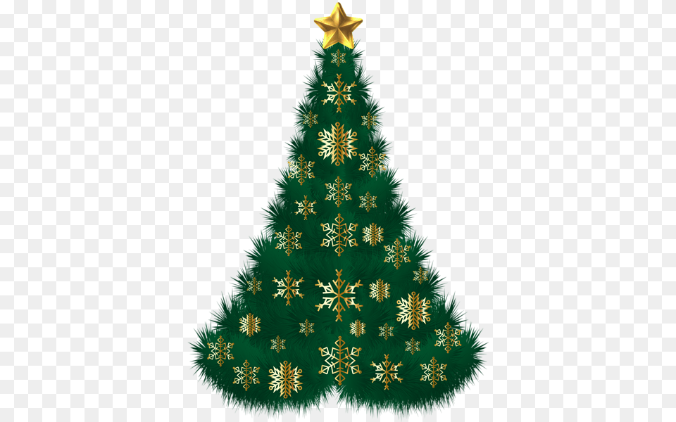 Christmas Tree, Plant, Christmas Decorations, Festival, Christmas Tree Free Transparent Png