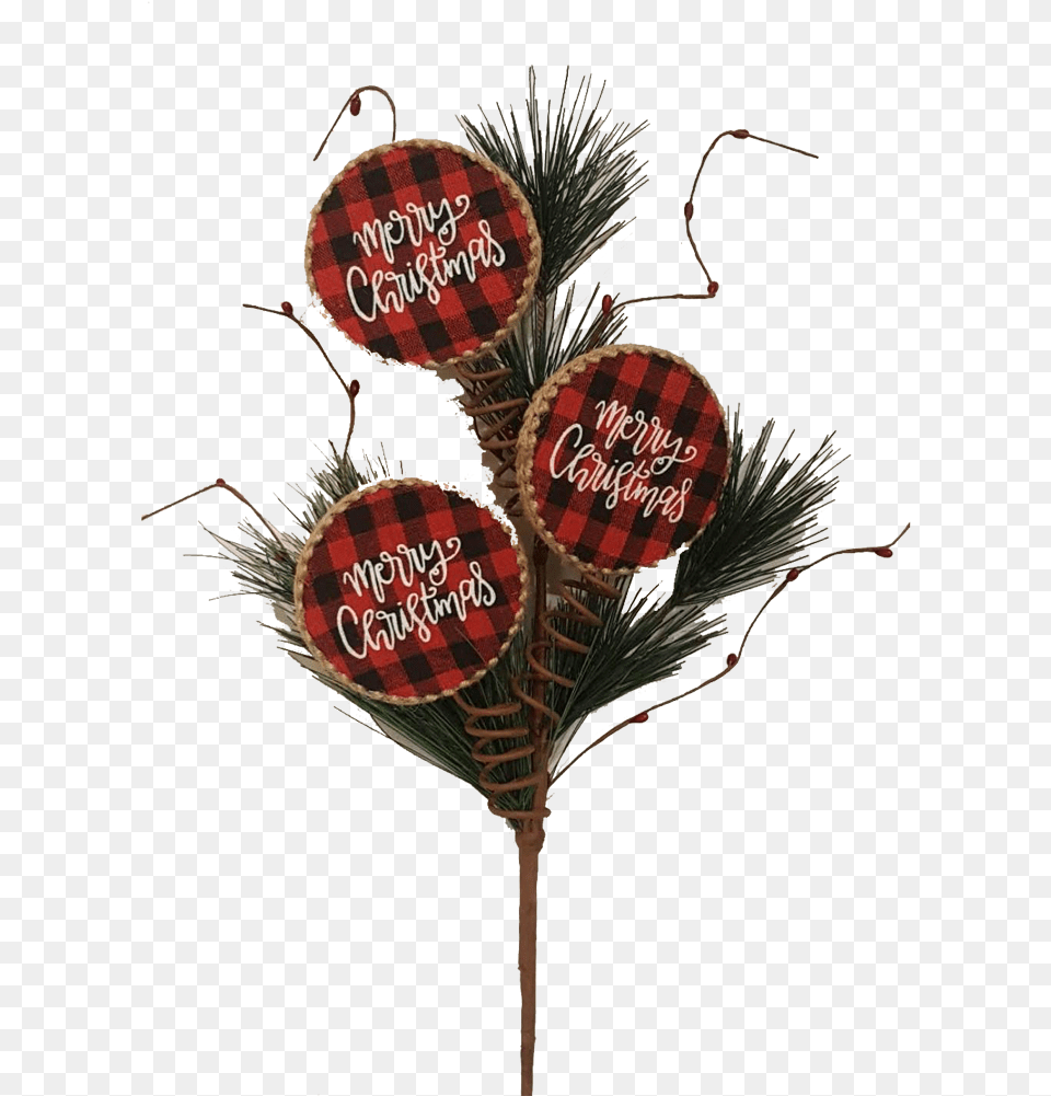 Christmas Tree, Plant, Christmas Decorations, Festival Png