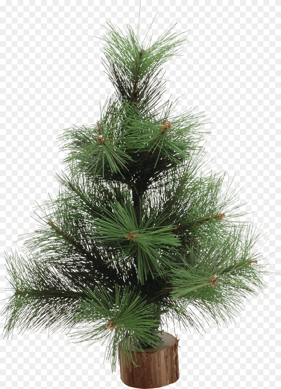 Christmas Tree Free Png