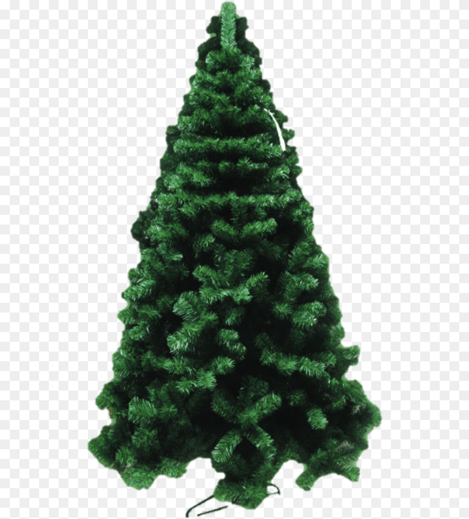 Christmas Tree, Fir, Plant, Pine, Wedding Free Transparent Png