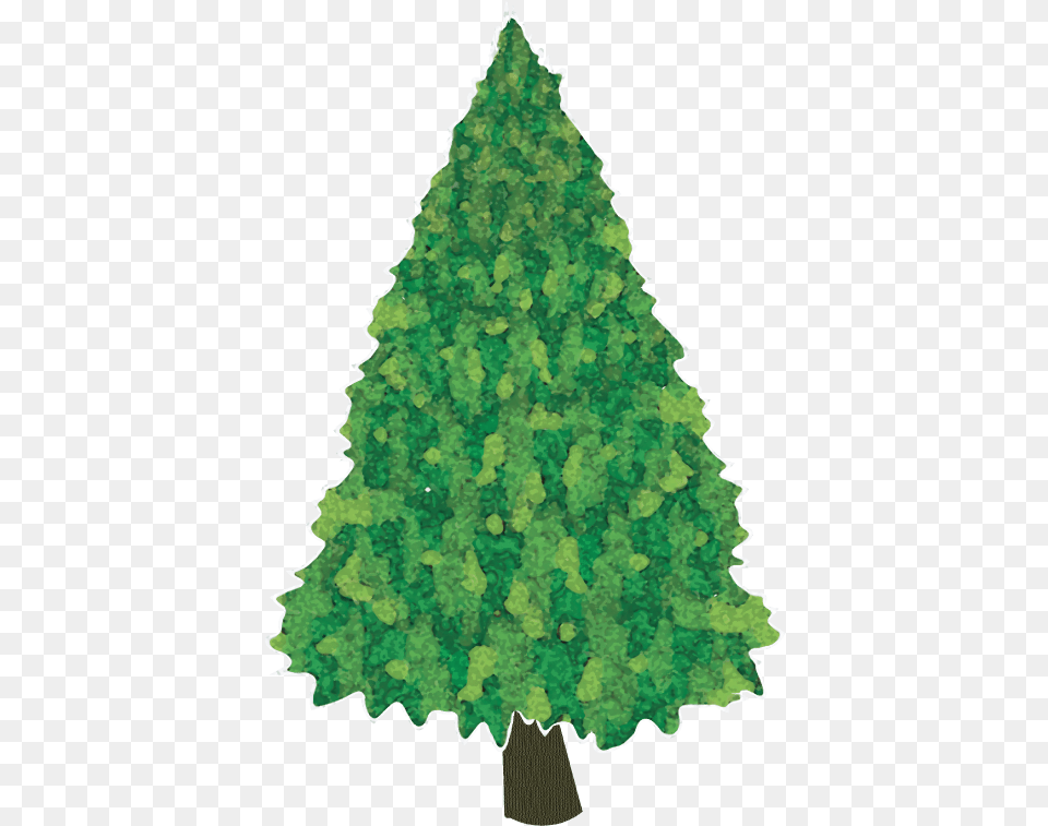 Christmas Tree, Plant, Adult, Wedding, Person Png Image